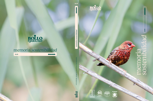 Inclusión laboral, desarrollo comunitario y promoción de hábitos saludables: así es el Plan Social de Bollo Natural Fruit